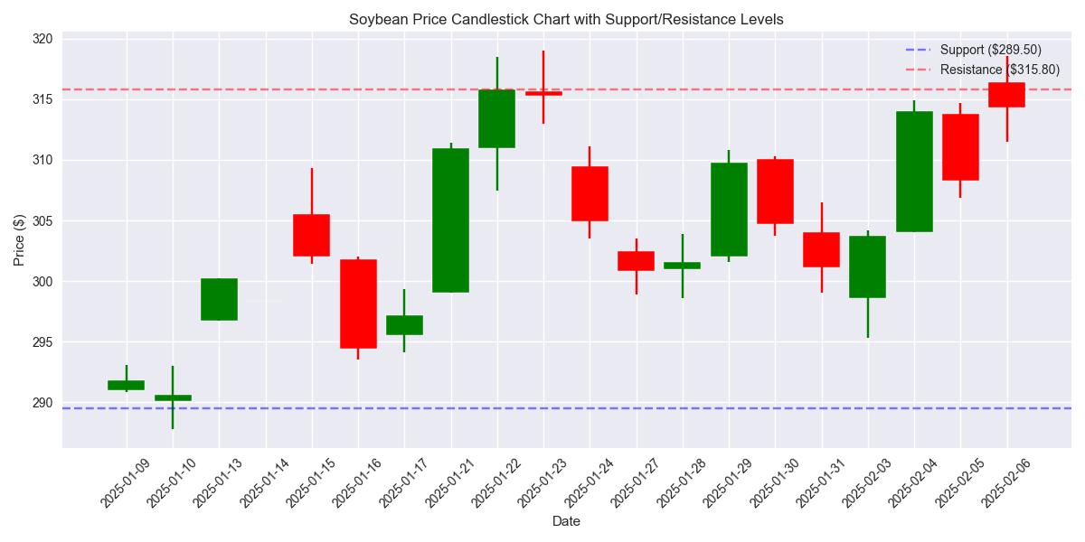 Candlestick chart showing recent price action with key support at $289.50 and resistance at $315.80.