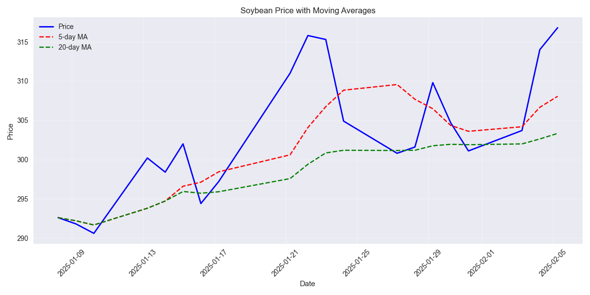 Soybean Shows Strong Bullish Momentum Despite Recent Pullback